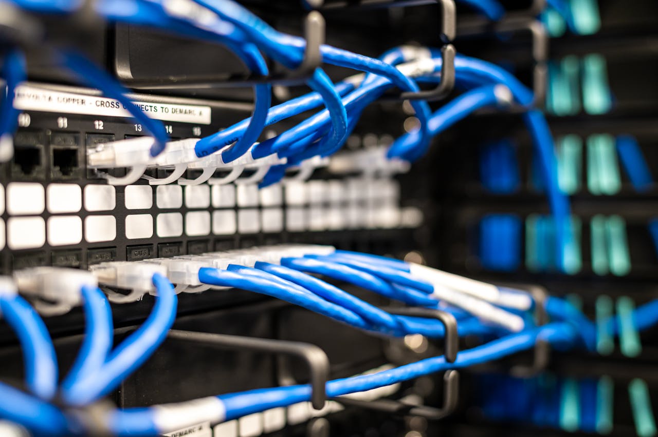 Services-01 Blue plastic wires with white tips connected to server and provide access to information